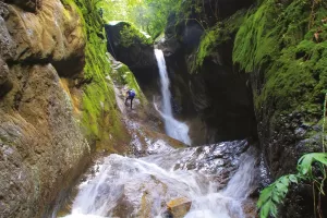 Conexión entre el Tarot y la Naturaleza de la Región de Orizaba